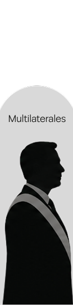 Perfil de audiencia: Multilaterales